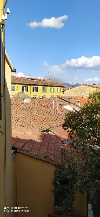 Desiderio Apartment Pisa Exterior photo
